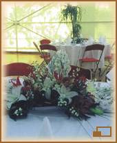 Locations : Fleurs - 30Ko