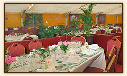 Espace saint martin