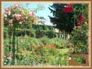 The gardens of Monet  - 62 Ko -